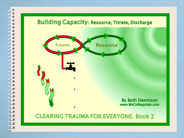 Clearing Trauma Book 2: Building Capacity