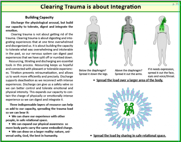 Clearing Trauma Book 2: Building Capacity - Image 7