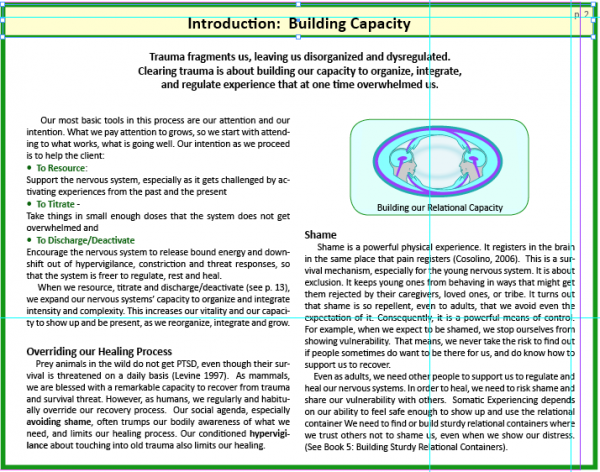 Clearing Trauma Book 2: Building Capacity - Image 6