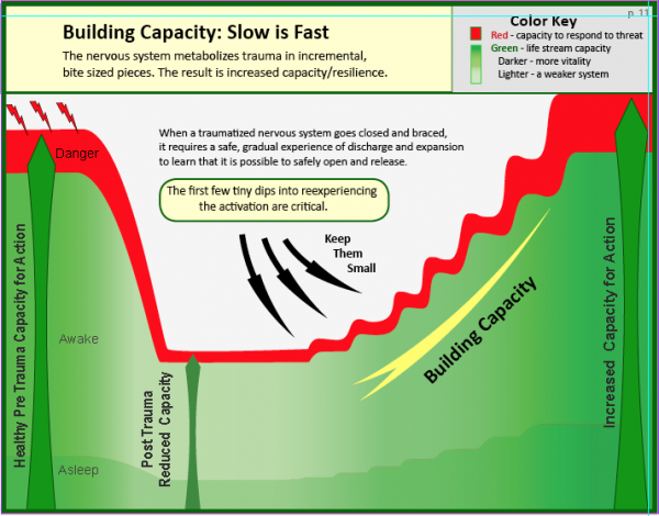 Clearing Trauma Book 2: Building Capacity - Image 3