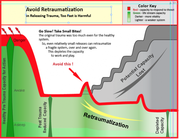 Clearing Trauma Book 2: Building Capacity - Image 4