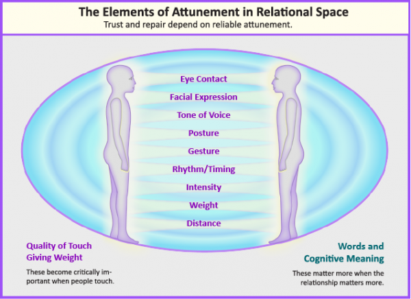 elements of attunement for webpage301-01