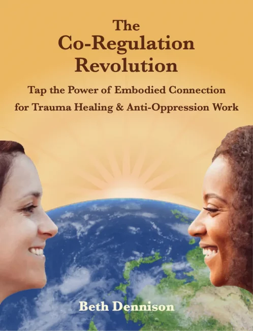 The Co-Regulation Revolution Book Cover